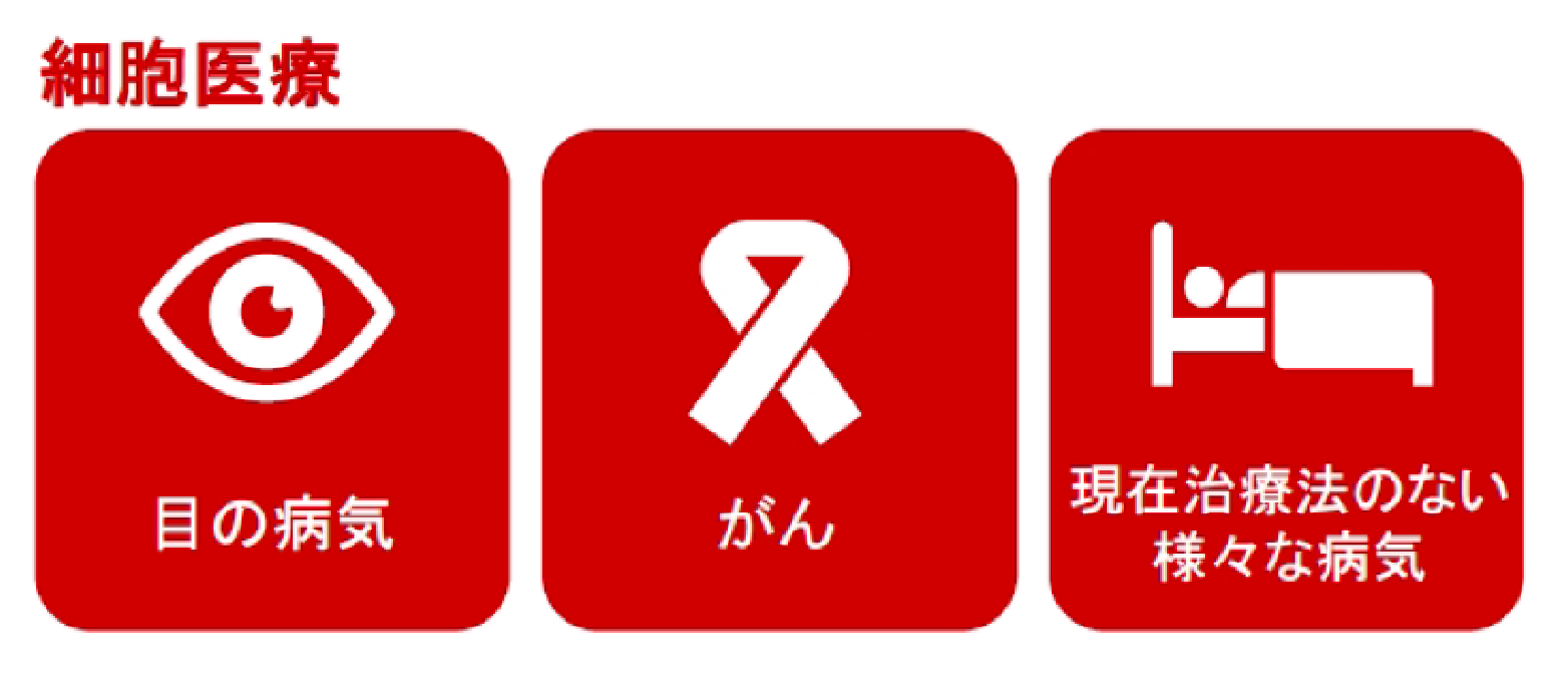 細胞医療