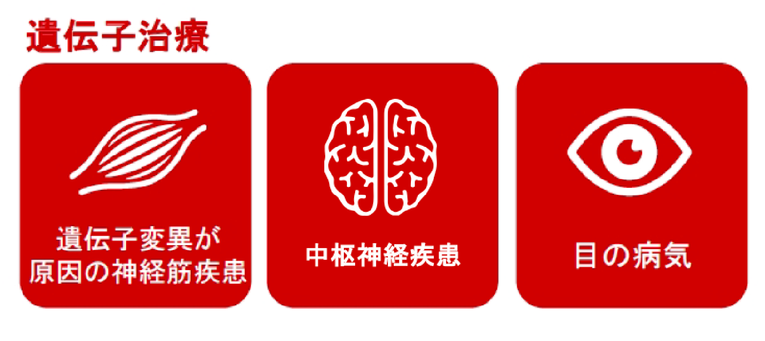 遺伝子治療